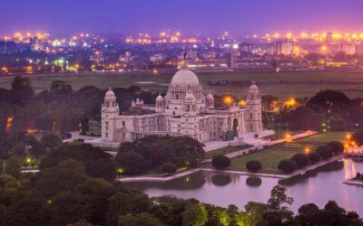 Top 20 digital marketing freelancers in Kolkata for startups